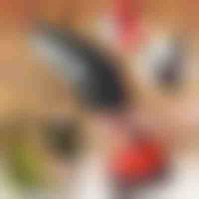 Електрична ручна пила BRENCHIE