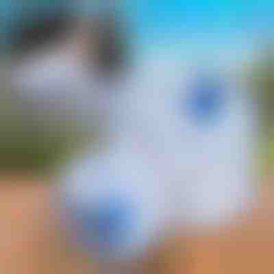 Складний водяний бак (10L) | AQUATANK