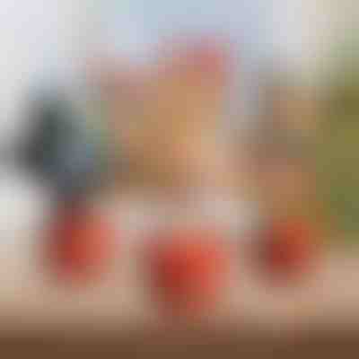 Інтерактивна іграшка для танців на Різдво | DANCETKO