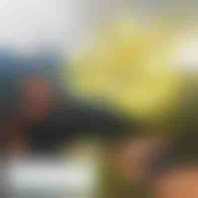 Міні-дрон FLASH з ручним керуванням