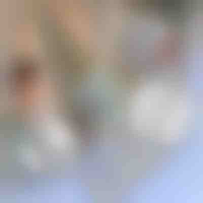 Ремонтна стрічка для москітних сіток | INSECTAPE