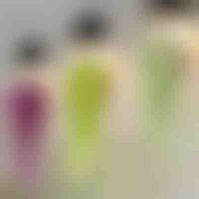 Декоративна підвісна рослина | IVYORA