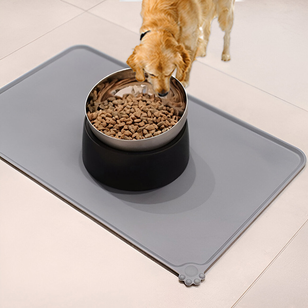 Hygienic Feeding Area