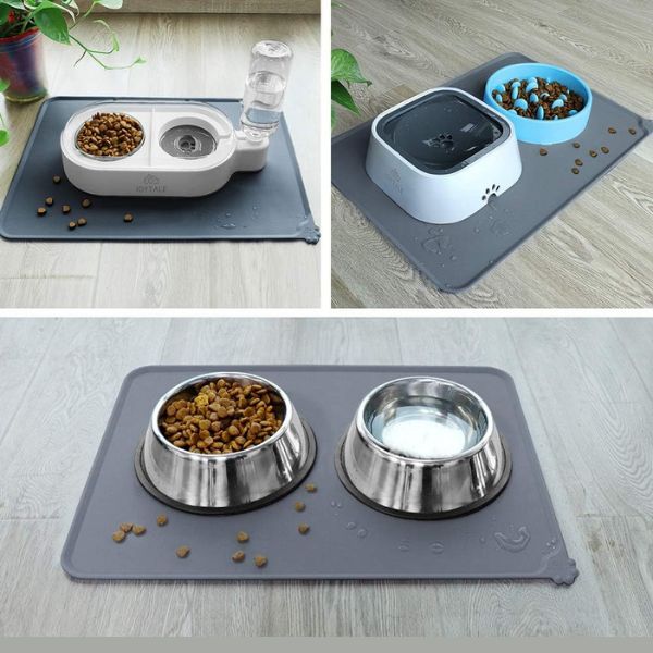 Perfect Size for All Pets