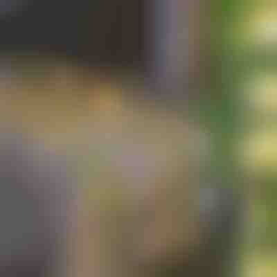 Сонячні ліхтарі з штучним плющем (5 м) | LEAFGLO