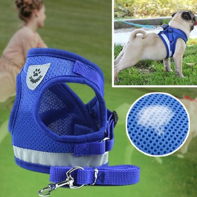 Регульовані відбиваючі шлейка та повідець | LEASHNGO