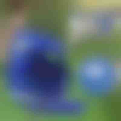 Регульовані відбиваючі шлейка та повідець | LEASHNGO