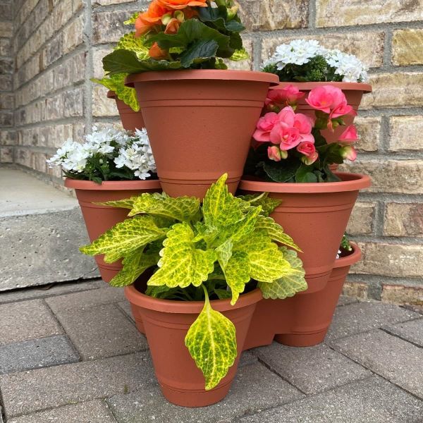 PLANTUP Multi-use Planting