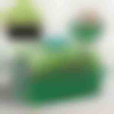 Лоток для вирощування розсади з відділеннями | PLANTURKA