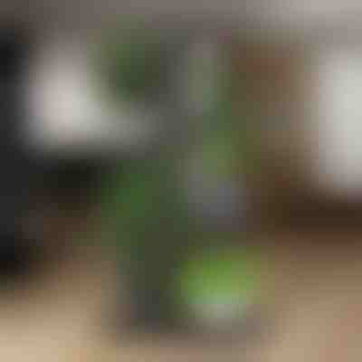 Підставка для горщиків | POTSTAGE