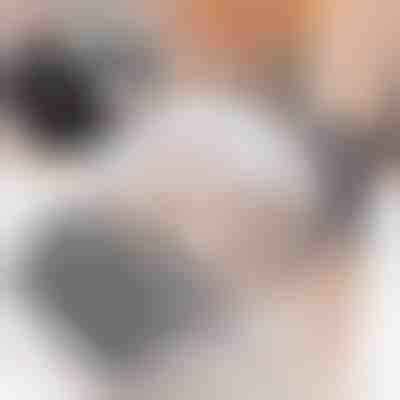 Щітка для котів (2 штуки) | PURRCORNER