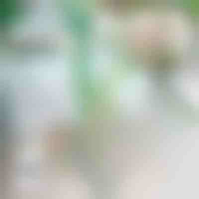 Зупиняйте падіння рослин | ROOTZI