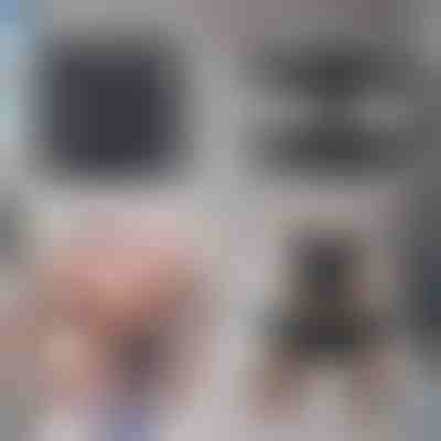 Тренажер для преса – Спалюйте жир без зусиль | SIXPACK