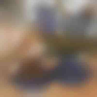 Складна миска 2 в 1 для їжі та води для домашніх тварин | WOOFDISH