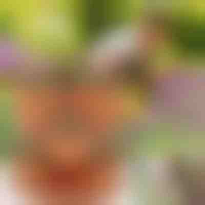 Стаканні квіткові горщики (3 шт) | PLANTUP