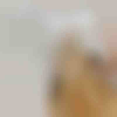 Щітка для домашніх тварин з паровим розпилювачем, що перезаряджається, для вичісування шерсті | GROOMSY