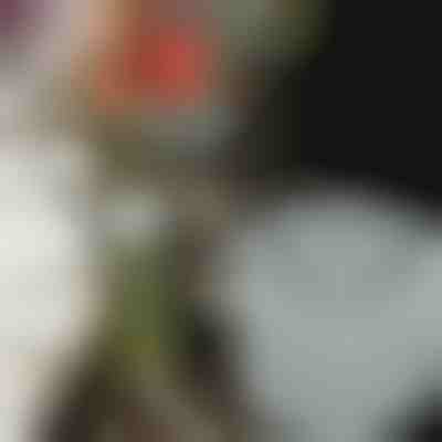 Підставки для квітів для приголомшливих композицій (3шт) | VASEKA