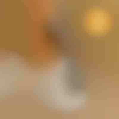 Помічник для взуття без нахилу | SHOEVA