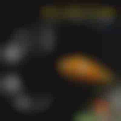 Набір лотків для годування акваріумних риб | FINTROL