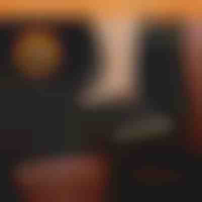 Водонепроникний чохол на заднє сидіння автомобіля для собак | CARIPET